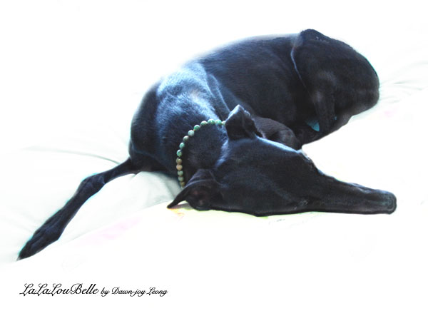 img_0194lucy-nephritejade