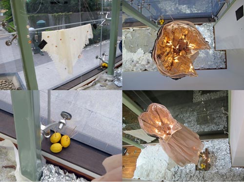 2012 Haptic Autistry IMG_5003