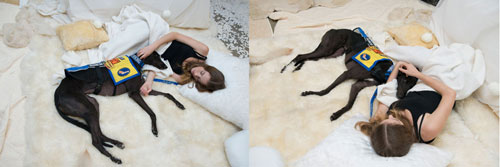 2015-Sonata-in-Z-opening_rachel