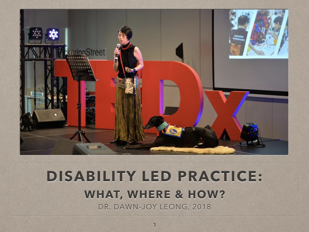 DAWNJOY DisabilityLedPractice 20180811.001