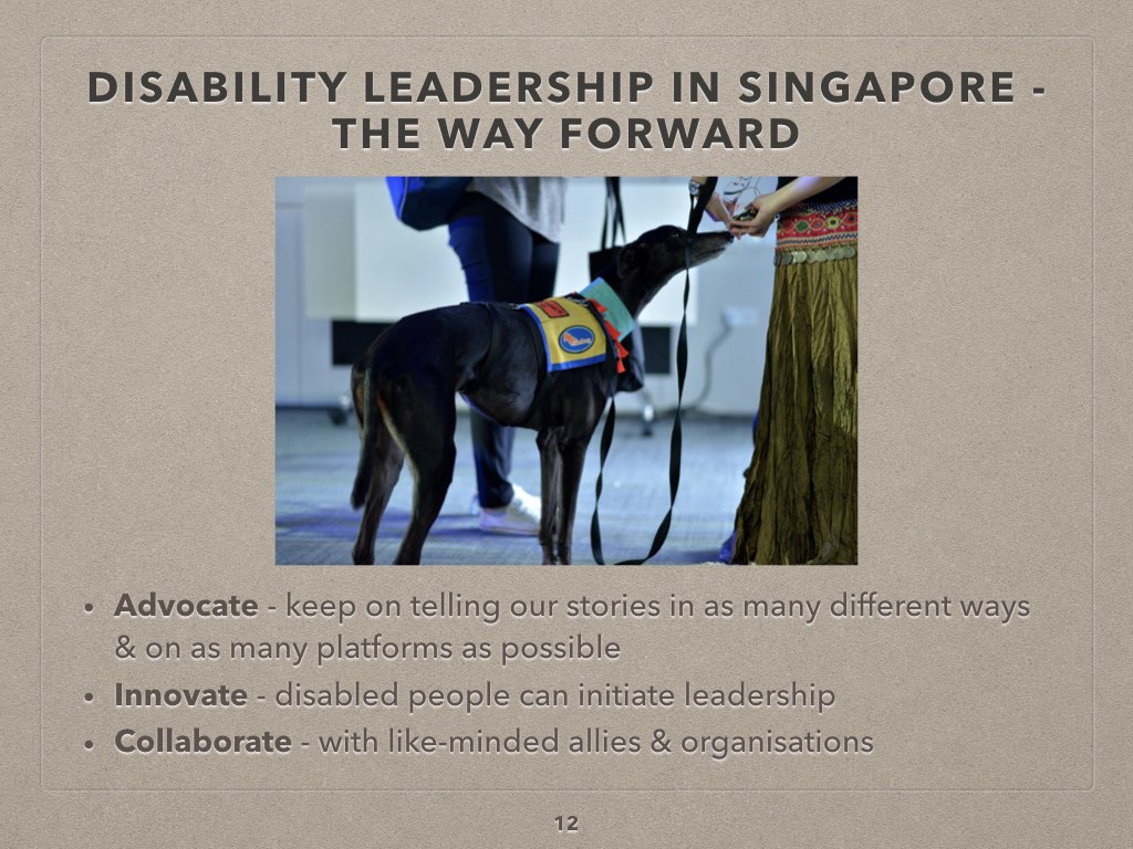 DAWNJOY DisabilityLedPractice 20180811.012